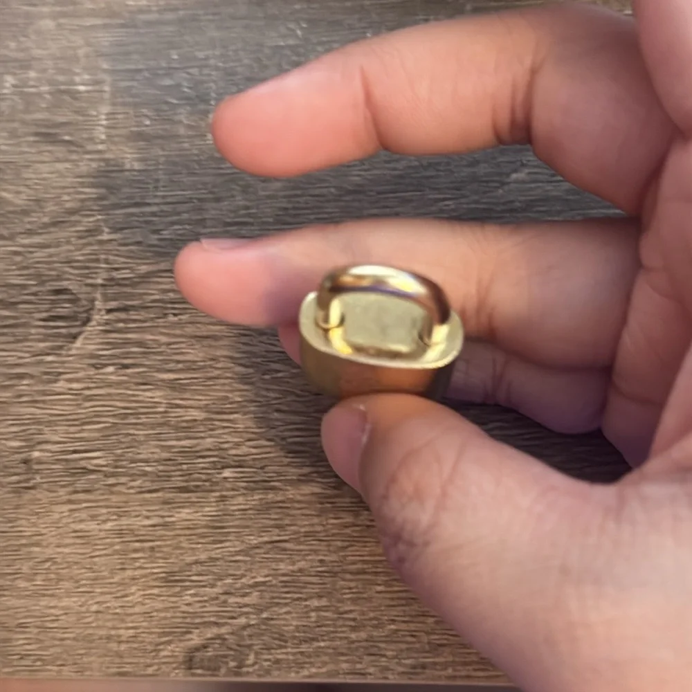 Louis vuitton brass lockset #300